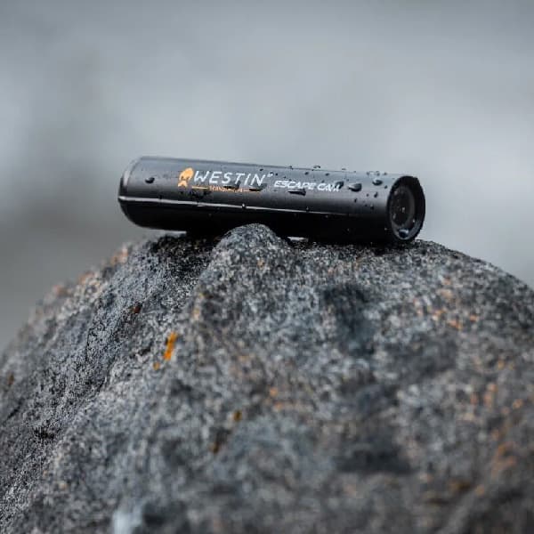 Miniatyr 3